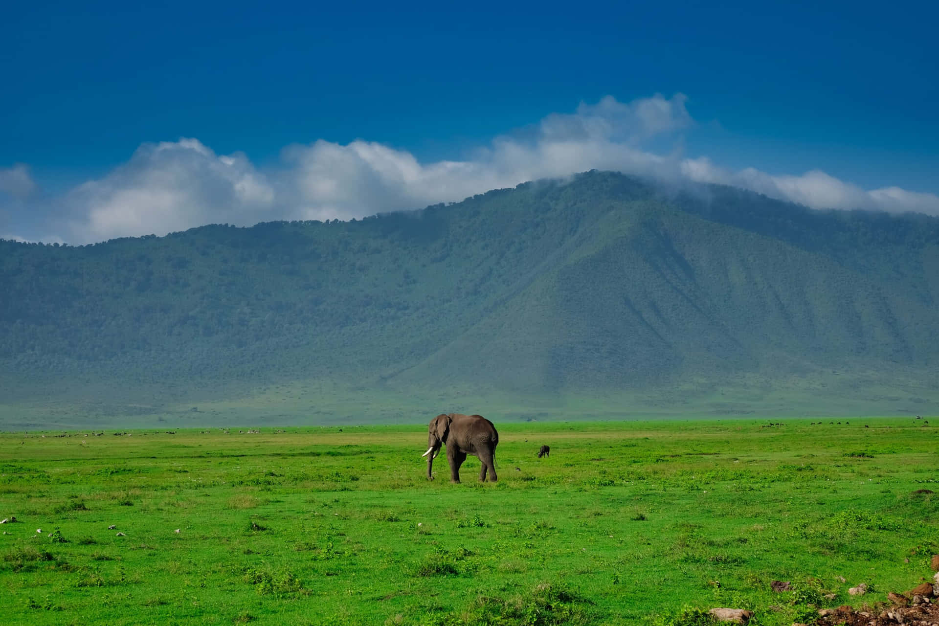 2 Days Unforgetable Safari to Ngorongoro Crater